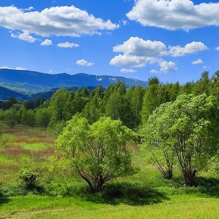 Domki Sniezka Wojcieszyce Buitenkant foto