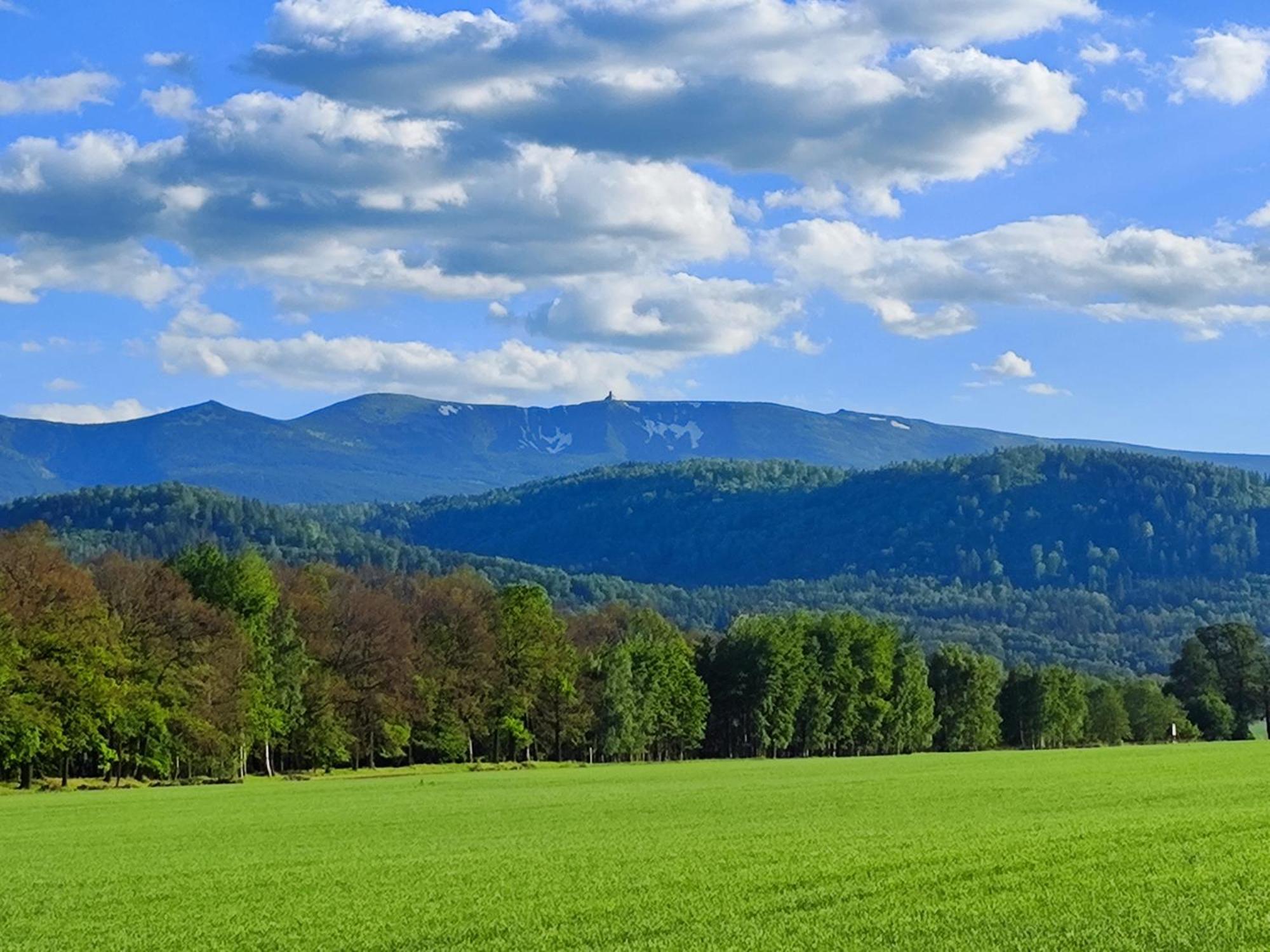 Domki Sniezka Wojcieszyce Buitenkant foto