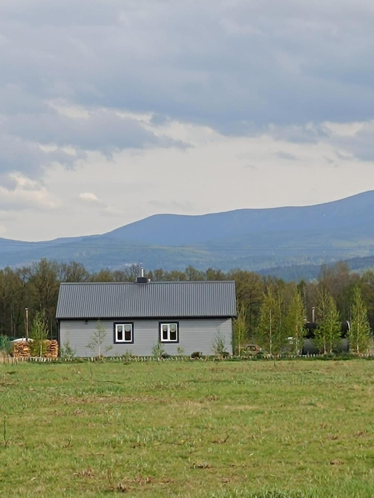 Domki Sniezka Wojcieszyce Buitenkant foto