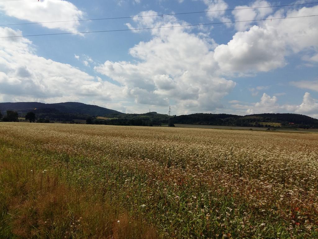 Domki Sniezka Wojcieszyce Buitenkant foto