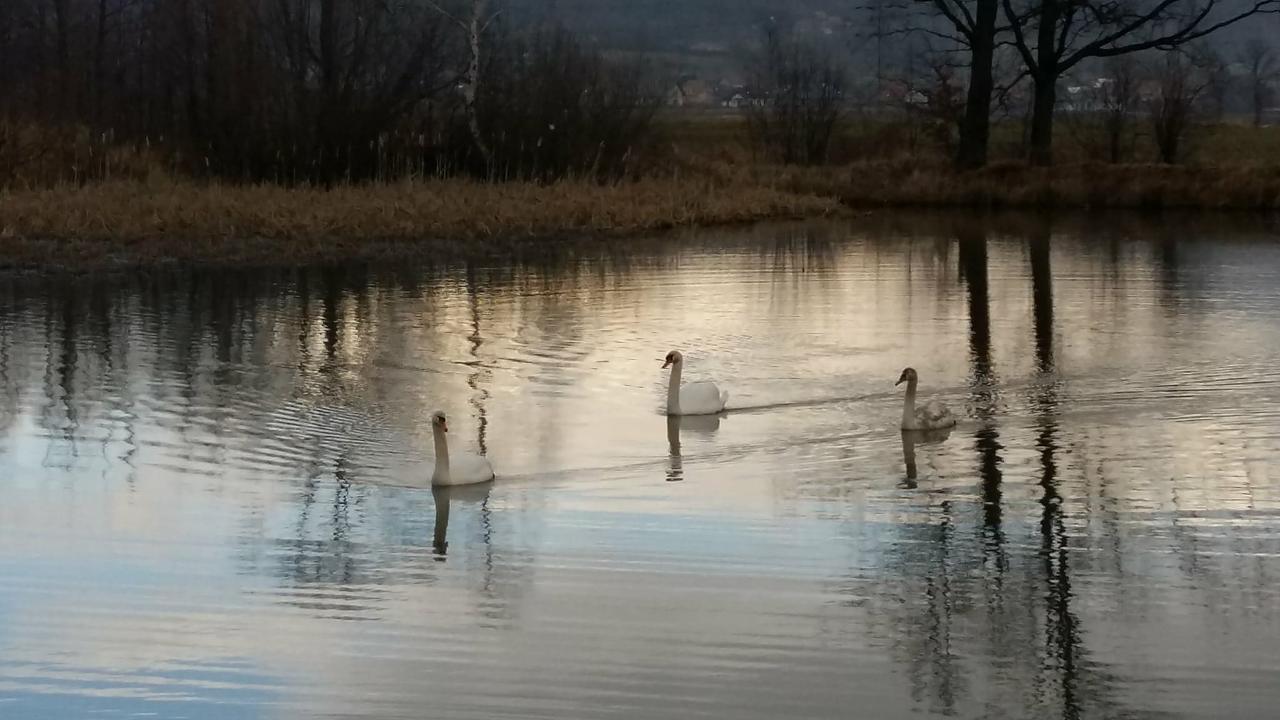 Domki Sniezka Wojcieszyce Buitenkant foto