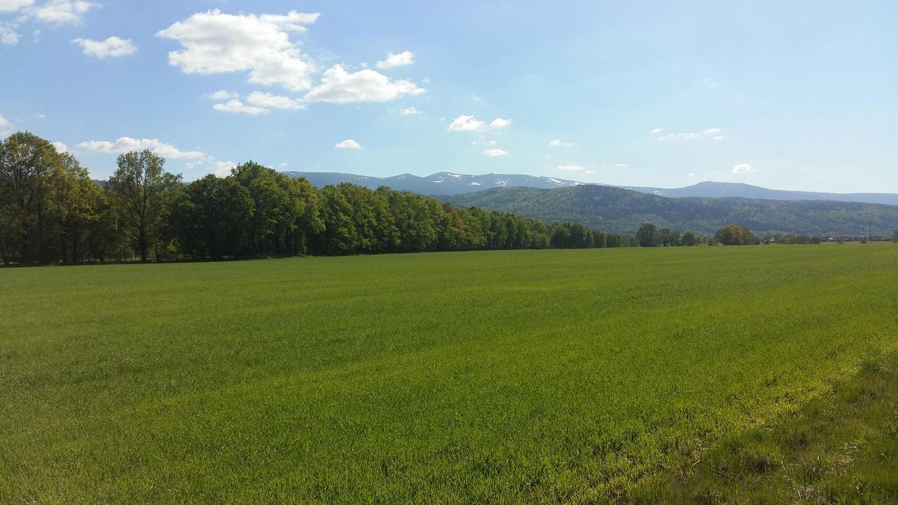 Domki Sniezka Wojcieszyce Buitenkant foto