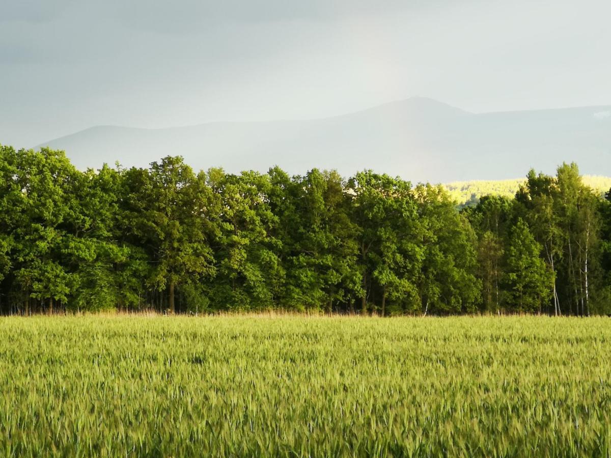 Domki Sniezka Wojcieszyce Buitenkant foto
